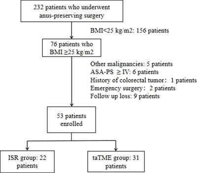 Laparoscopic intersphincteric resection vs. transanal total mesorectal excision in overweight patients with low rectal cancer